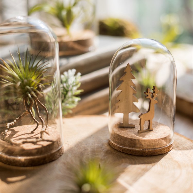 Dome Preserved Flower Rose Wholesale Mini Clear Geodesic Home Decoration Glass Jar Cylinder Folk Art Glass Cloche