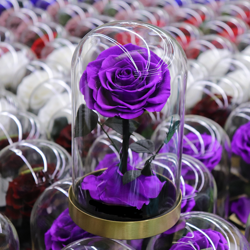 popular luxury preserved rose in glass dome with wood base light everlasting eternal eternity rose fresh forever rose flower