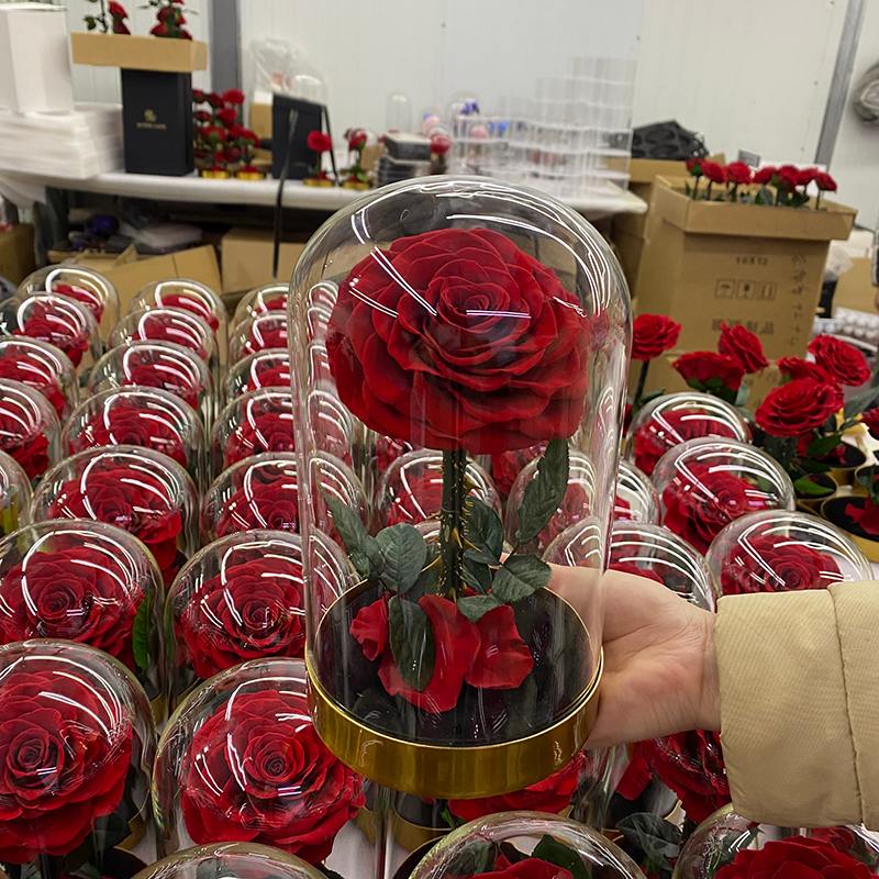 popular luxury preserved rose in glass dome with wood base light everlasting eternal eternity rose fresh forever rose flower