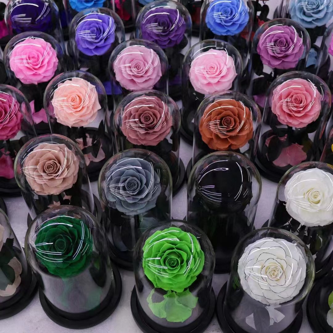 popular luxury preserved rose in glass dome with wood base light everlasting eternal eternity rose fresh forever rose flower