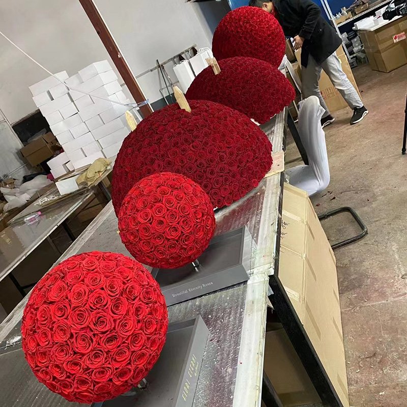 2021 New design preserved roses mushroom real touch flowers preserved flower gift box dome shape preserved roses