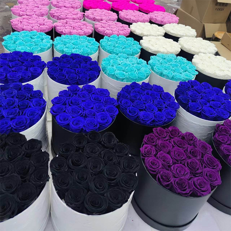 2021 New design preserved roses mushroom real touch flowers preserved flower gift box dome shape preserved roses