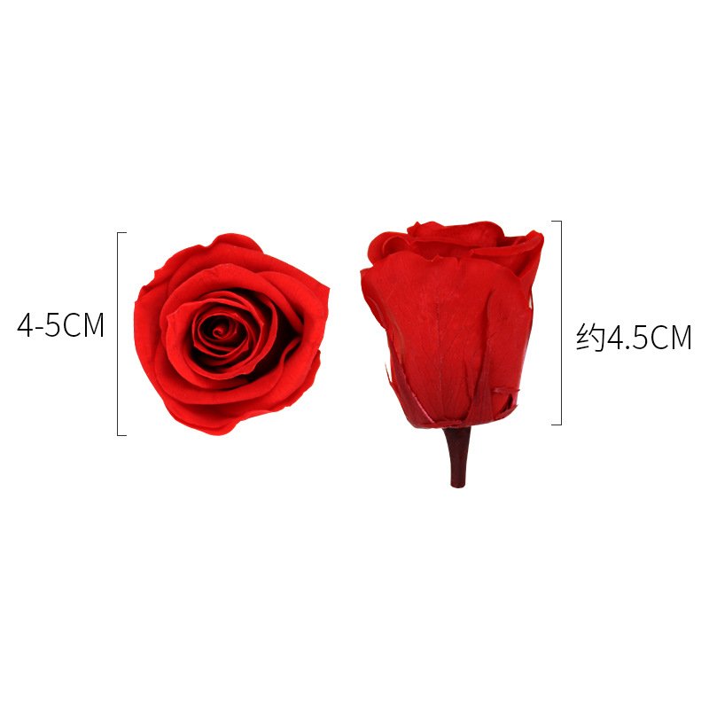Factory Wholesale Romantic Valentine's Day Rose Head 21 Paper with Logo Gift Box Packaging 4-5cm Preserved Rose