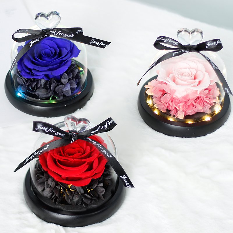 Customize in various sizes valentines day gift Real rose in Glass Dome Roses Never Withered Flower Preserved Flowers
