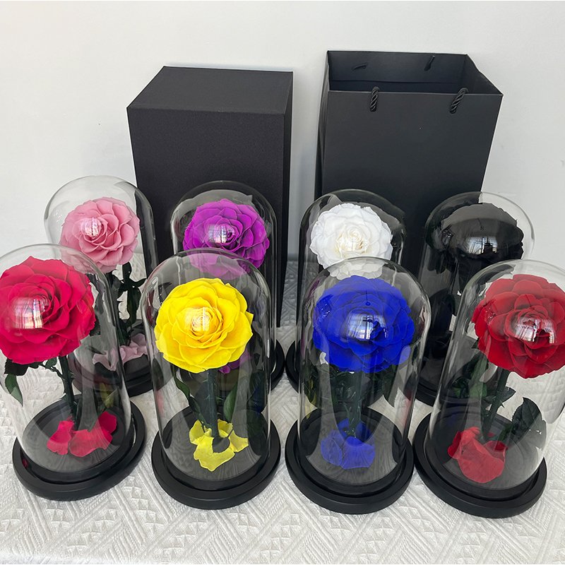 Customize in various sizes valentines day gift Real rose in Glass Dome Roses Never Withered Flower Preserved Flowers