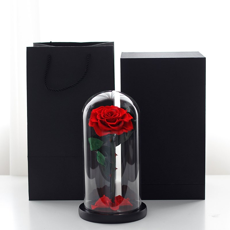 Customize in various sizes valentines day gift Real rose in Glass Dome Roses Never Withered Flower Preserved Flowers