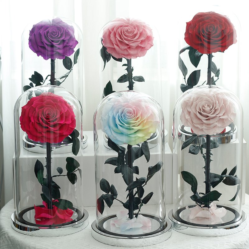 Customize in various sizes valentines day gift Real rose in Glass Dome Roses Never Withered Flower Preserved Flowers
