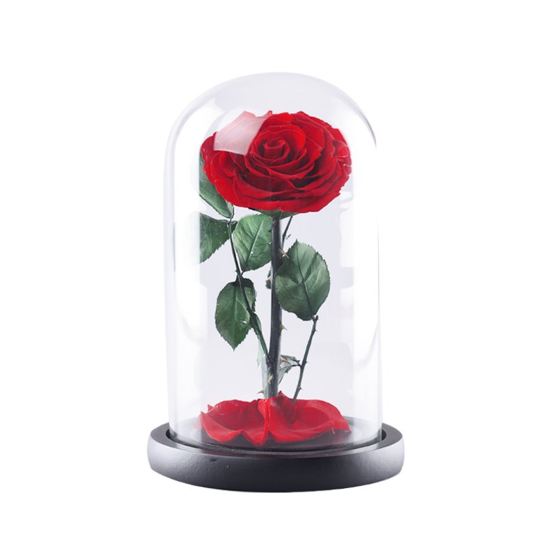 2024 Preserved Flowers Gift Box Preserved Rose Dome 7-8Cm Chinese New Year Box Forever Rose in Glass Dome