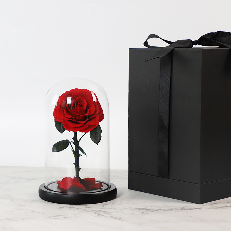 Luxurious Valentines Day Gifts Glass Dome Belle Enchanted Preserved Forever Immortal Roses in Glass Dome