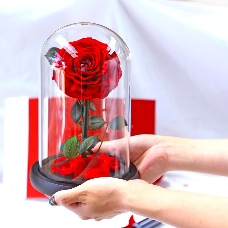 Luxurious Valentines Day Gifts Glass Dome Belle Enchanted Preserved Forever Immortal Roses in Glass Dome
