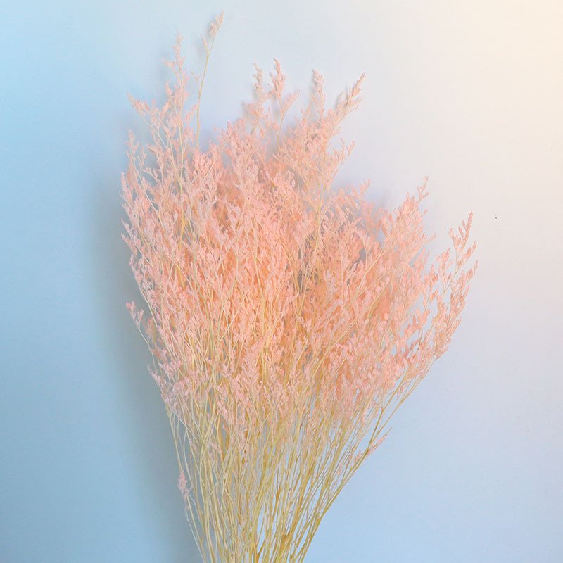 Home Decoration Dried Flowers Lover's Grass Dried Flower Fresh Misty Dried Flowers Preserved Limoniums Decorative Grass