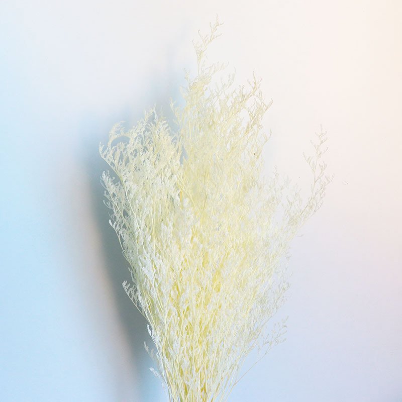 Home Decoration Dried Flowers Lover's Grass Dried Flower Fresh Misty Dried Flowers Preserved Limoniums Decorative Grass