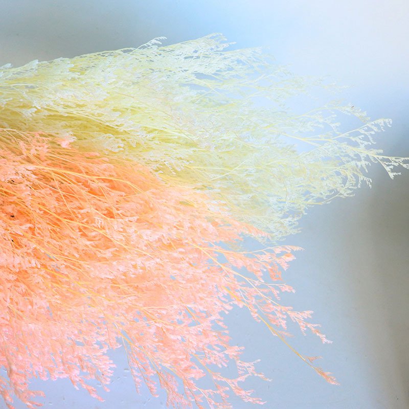 Home Decoration Dried Flowers Lover's Grass Dried Flower Fresh Misty Dried Flowers Preserved Limoniums Decorative Grass