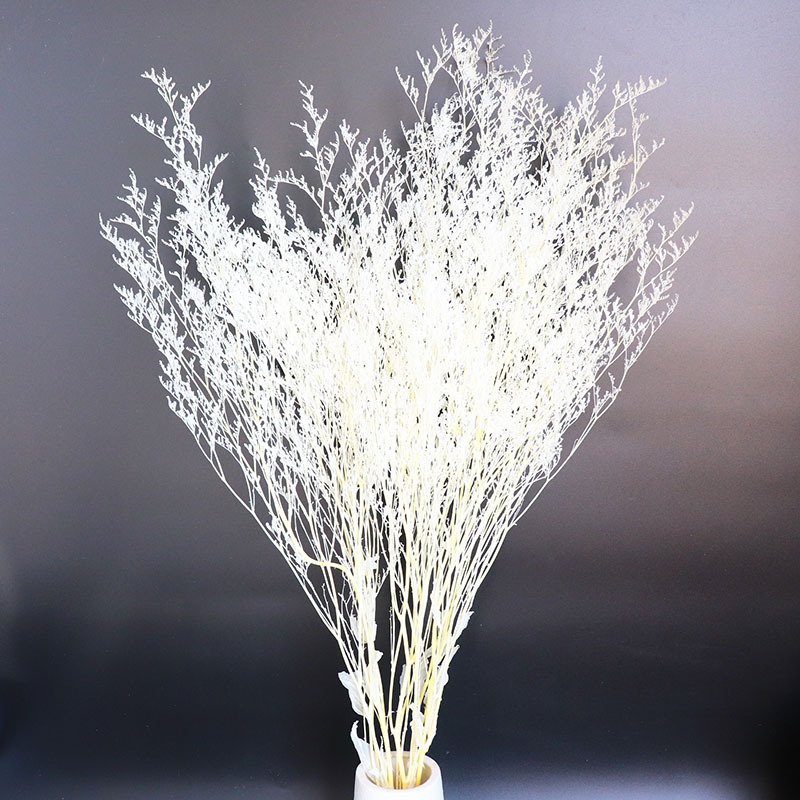 Home Decoration Dried Flowers Lover's Grass Dried Flower Fresh Misty Dried Flowers Preserved Limoniums Decorative Grass