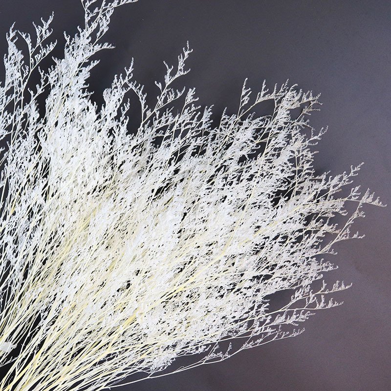 Home Decoration Dried Flowers Lover's Grass Dried Flower Fresh Misty Dried Flowers Preserved Limoniums Decorative Grass