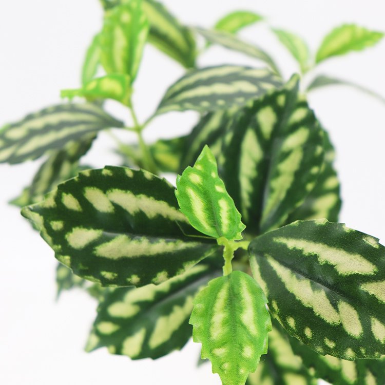 Wholesale 35cm Pilea Cadierei Factory Outlet Preserved Flowers & Plants Wreaths & Artificial Flowers Other Decorative Items