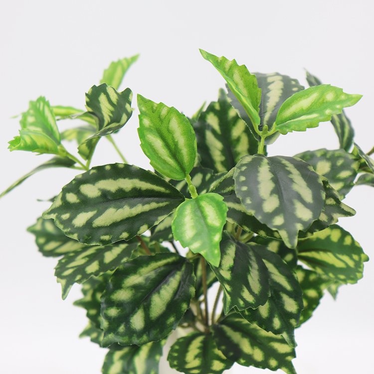 Wholesale 35cm Pilea Cadierei Factory Outlet Preserved Flowers & Plants Wreaths & Artificial Flowers Other Decorative Items