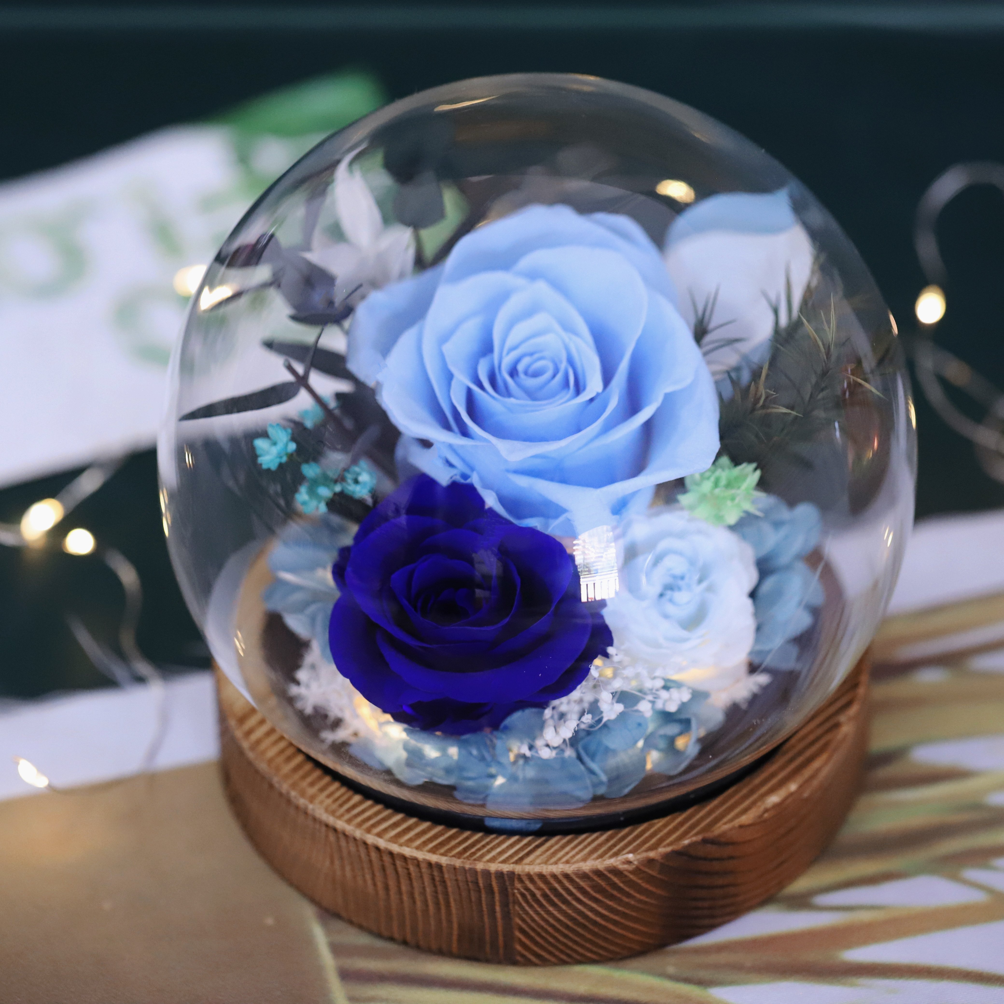 Christmas Day Chinese New Year Preserved Rose Gift Glass Cover Natural Everlasting Forever Flowers with LED Wholesale Sales