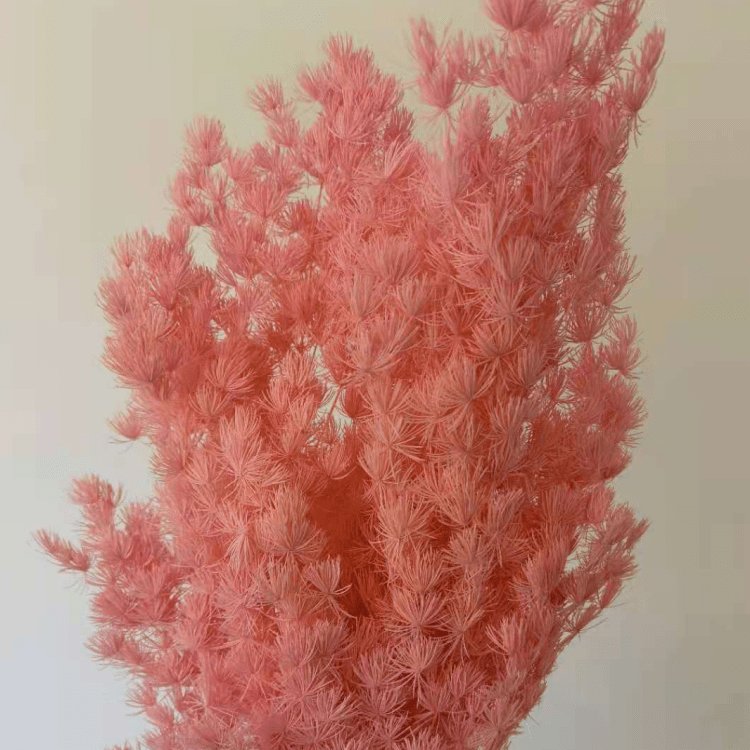 Preserved Ming Fern Flower Bunch 80 Grams for Wedding Household & Office Party Decorations