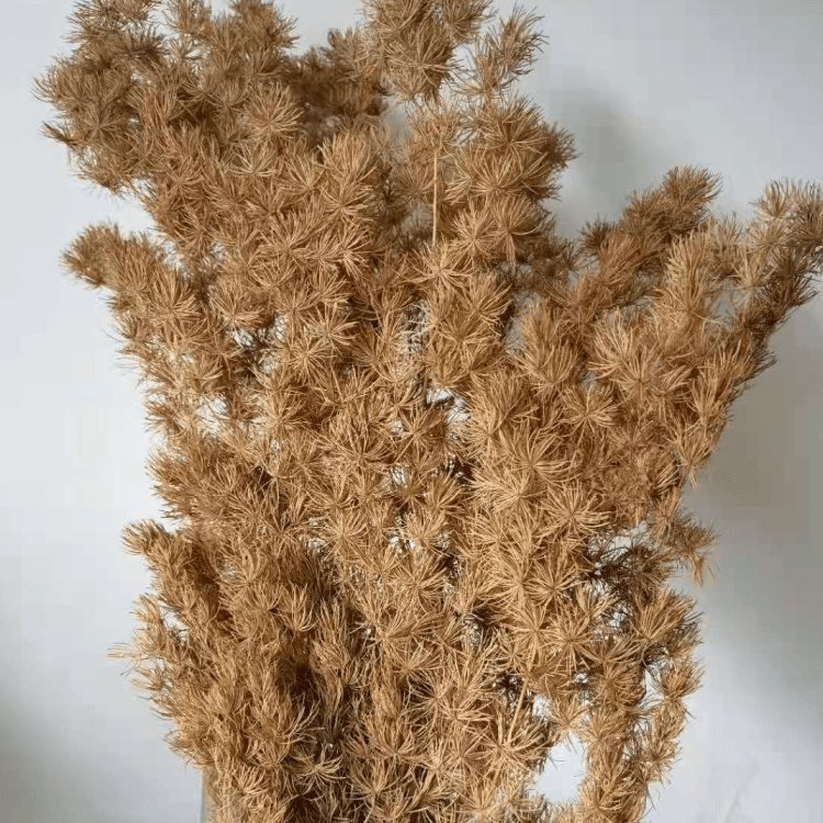 Preserved Ming Fern Flower Bunch 80 Grams for Wedding Household & Office Party Decorations