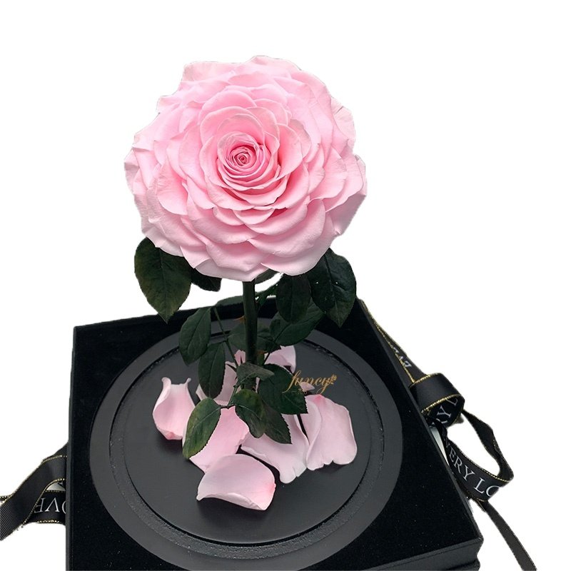 Factory Wholesale Valentines Day Gifts Glass Dome Belle Enchanted Preserved Forever Roses in Glass Dome New Year Gift Box