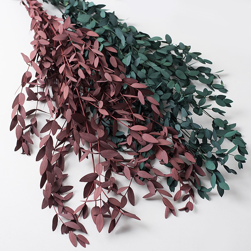 Preserved natural Eucalyptus leaf branches , small oval green leaves, home decor, flower arrangement