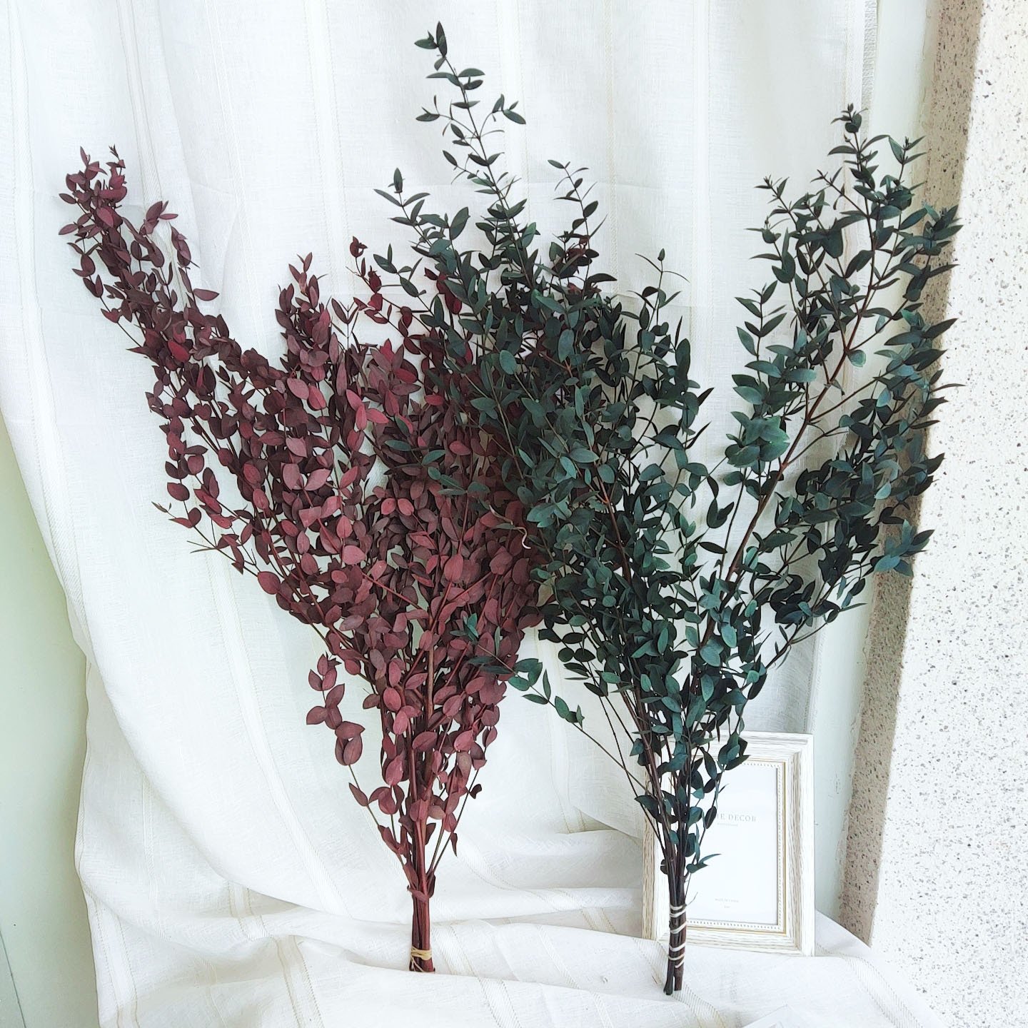 Preserved natural Eucalyptus leaf branches , small oval green leaves, home decor, flower arrangement