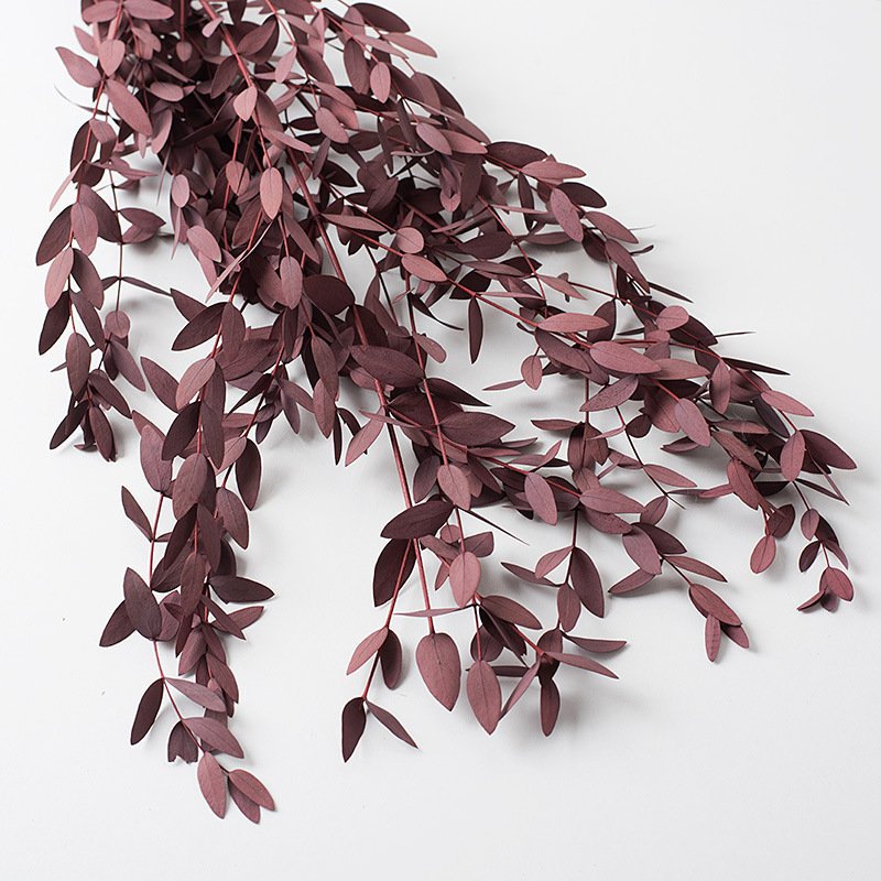 Preserved natural Eucalyptus leaf branches , small oval green leaves, home decor, flower arrangement