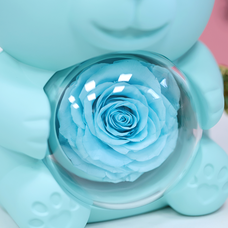 2024 Eternal Rose Preserved Flowers Gift Box Preserved Rose Necklace Gift Box Set Preserved Roses Jewelry Necklace Ring Box