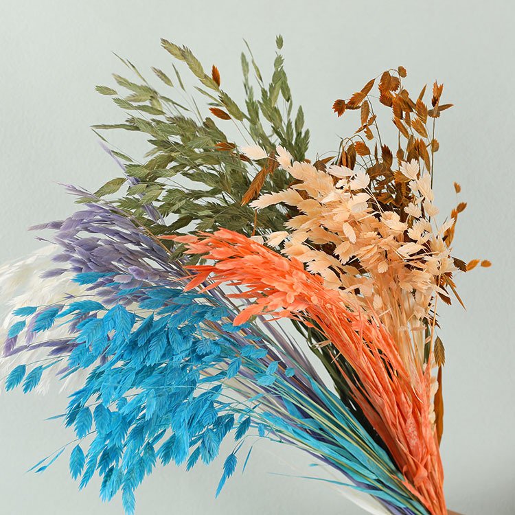 Preserved Natural Chasmanthium latifolium Leaves Grass,Sea Oats, spraying flower,small oval shape leaf.