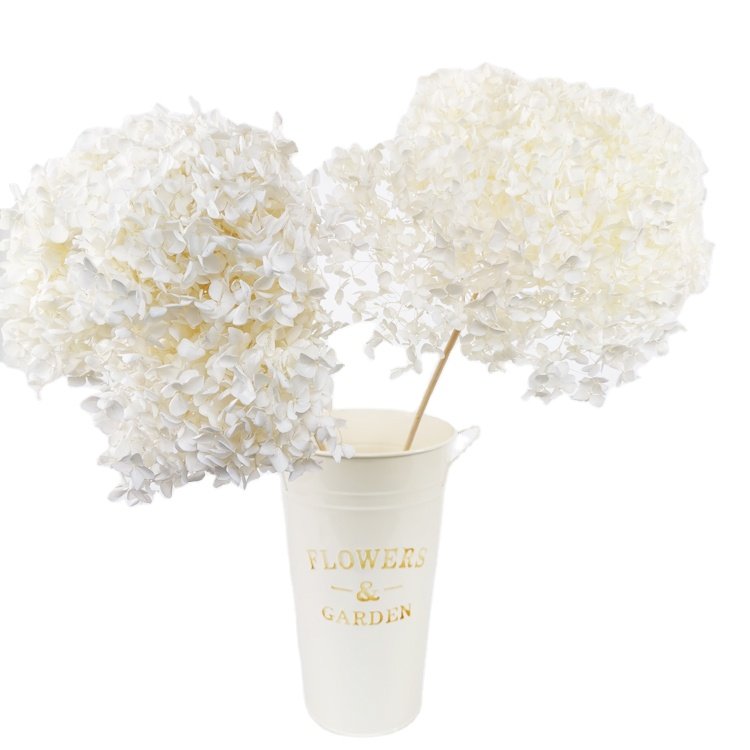 SumFlora Wedding Decorations for Cheap Souvenir Gift Packs Everlasting Flower preserved flower hydrangea