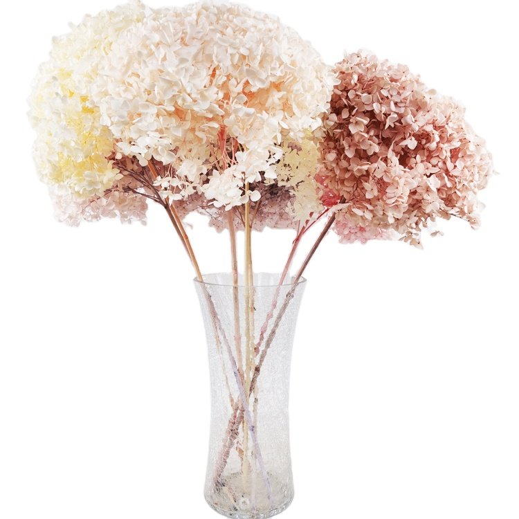 SumFlora Wedding Decorations for Cheap Souvenir Gift Packs Everlasting Flower preserved flower hydrangea