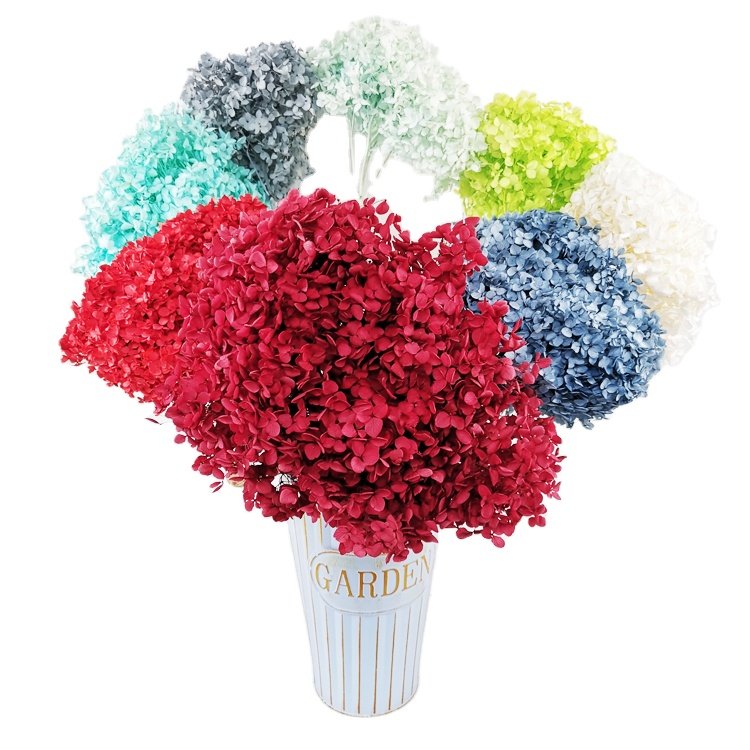 SumFlora Wedding Decorations for Cheap Souvenir Gift Packs Everlasting Flower preserved flower hydrangea