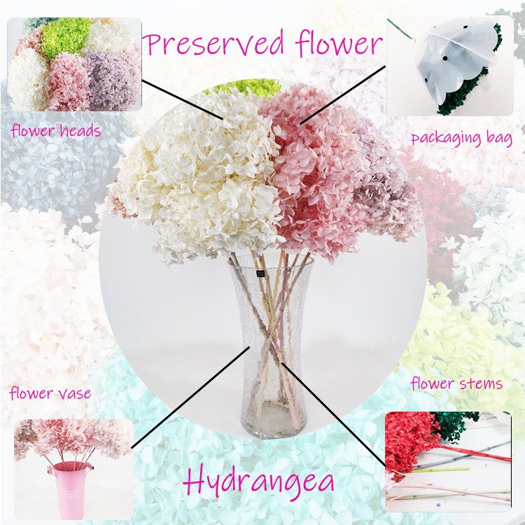 SumFlora Wedding Decorations for Cheap Souvenir Gift Packs Everlasting Flower preserved flower hydrangea
