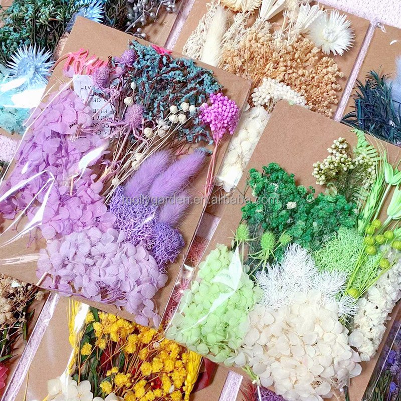 Natural Pressed Flowers Multiple Colorful Purple Real Dried Flowers Decorative for Art Crafts DIY Resin Molds
