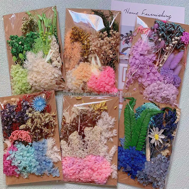 Natural Pressed Flowers Multiple Colorful Purple Real Dried Flowers Decorative for Art Crafts DIY Resin Molds