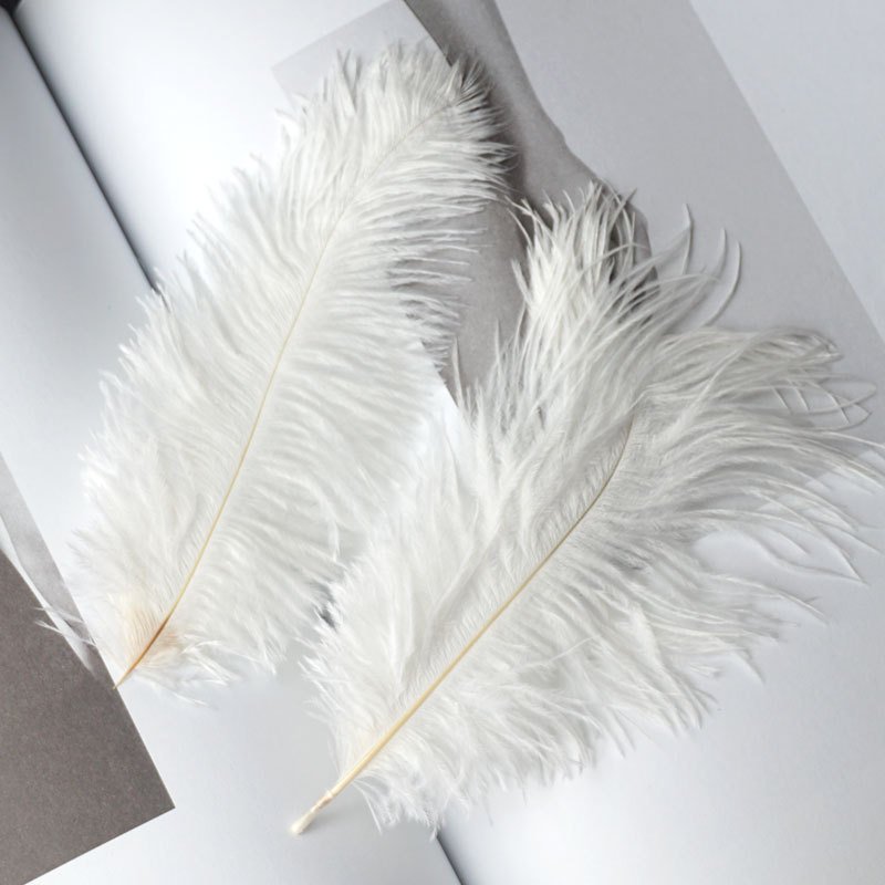 Wholesale Wedding Stage Decoration Colorful Natural Large Plume pink White Ostrich Feathers for Centerpieces Crafts Party