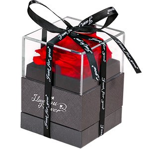Everlasting Mom Wife Girlfriend Valentines Gifts Immortal Eternal Forever Stabilized Preserved Real Rose in Jewelry Box
