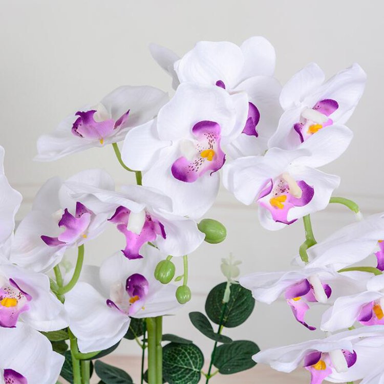 Factory Wholesale Preserved Orchid With Vase Home Wedding Decorative Artificial Butterfly Phalanopsis Orchid Plant Bonsai