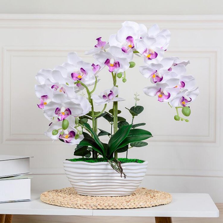 Factory Wholesale Preserved Orchid With Vase Home Wedding Decorative Artificial Butterfly Phalanopsis Orchid Plant Bonsai