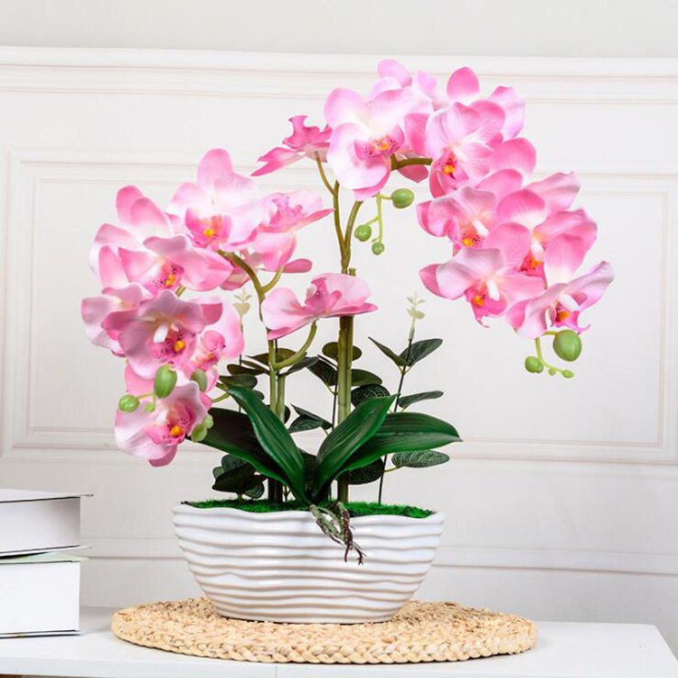 Factory Wholesale Preserved Orchid With Vase Home Wedding Decorative Artificial Butterfly Phalanopsis Orchid Plant Bonsai