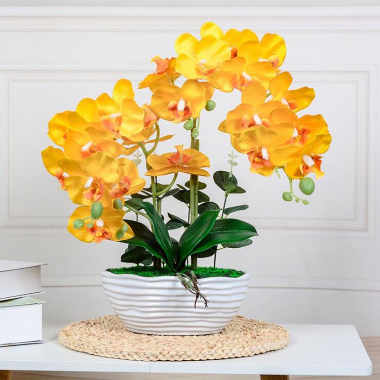 Factory Wholesale Preserved Orchid With Vase Home Wedding Decorative Artificial Butterfly Phalanopsis Orchid Plant Bonsai