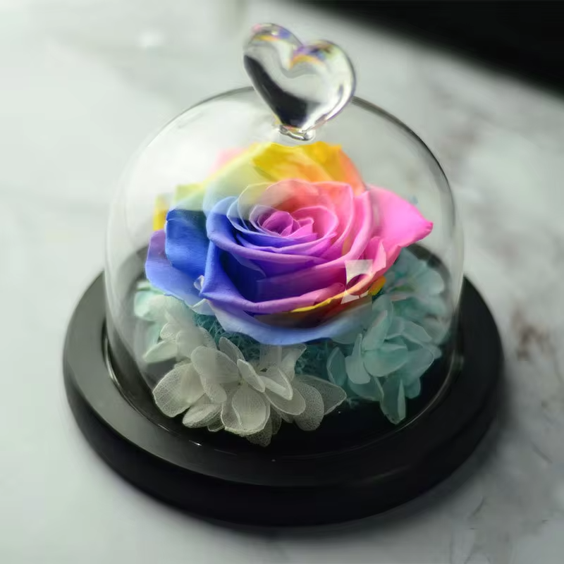 Single Preserved Rose 6cm in Heart Dome From Manufacturer Enchanted Glass Dome Preserved Roses