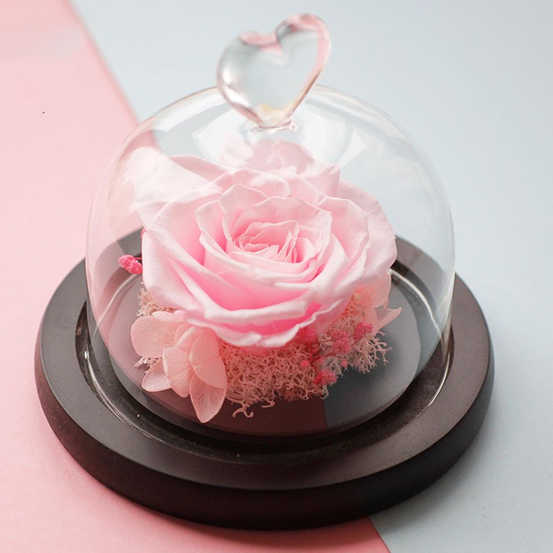 Single Preserved Rose 6cm in Heart Dome From Manufacturer Enchanted Glass Dome Preserved Roses