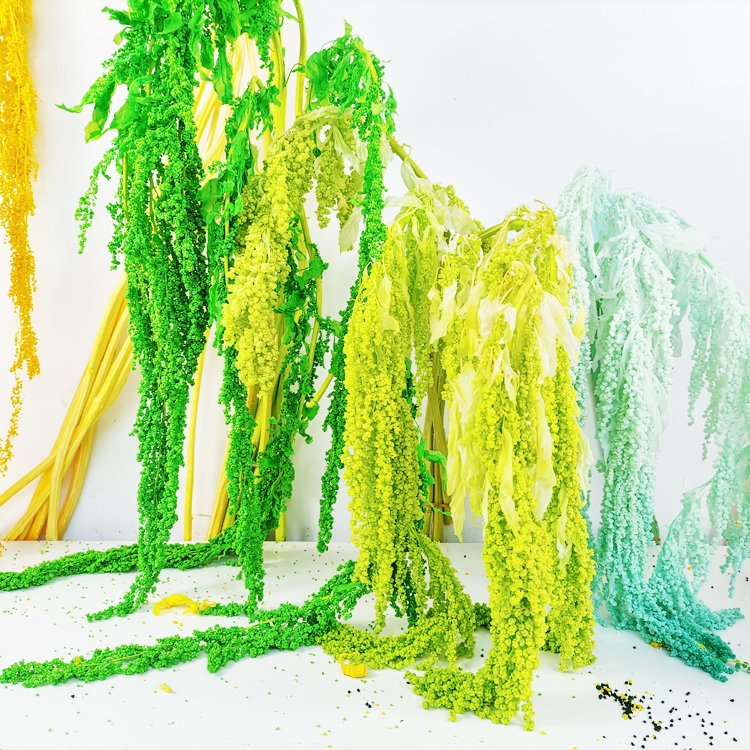 SumFlora Kunming factory supply Best Quality wedding decor flowers preserved flower hanging amaranthus