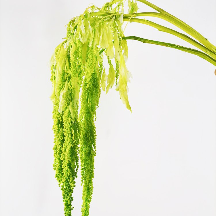 SumFlora Kunming factory supply Best Quality wedding decor flowers preserved flower hanging amaranthus