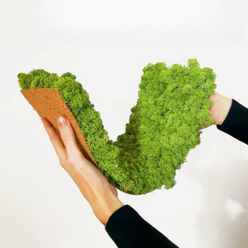 Factory Direct Sales Customized Natural White Hair Moss Wall Panel For Indoor Decoration
