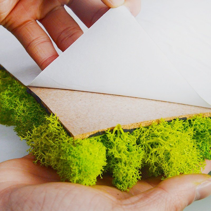 Factory Direct Sales Customized Natural White Hair Moss Wall Panel For Indoor Decoration