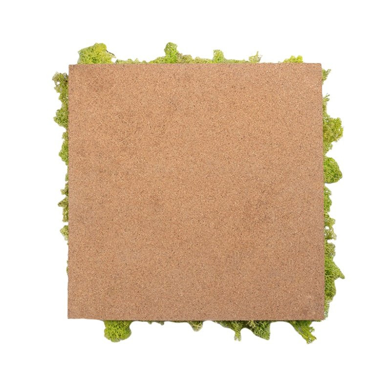 Factory Direct Sales Customized Natural White Hair Moss Wall Panel For Indoor Decoration