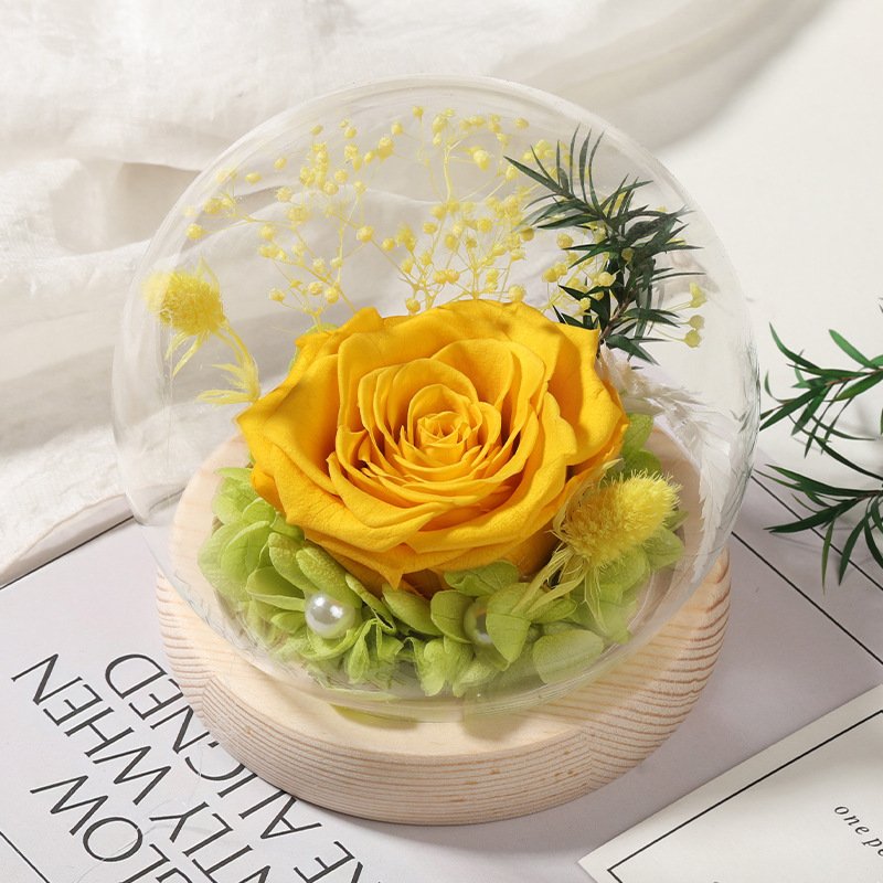 Charming Preserved Rose in Glass Dome Eternal Preserved Flowers Gift Box for Christmas Graduation Decorations